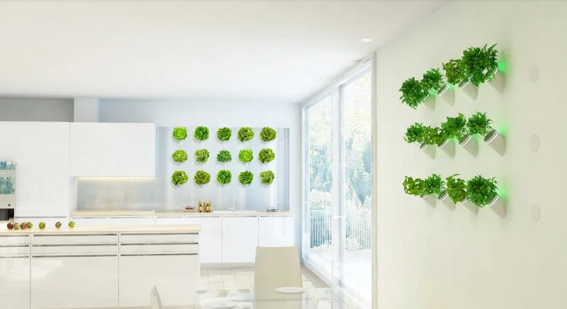BioBulb lets you create plant walls anywhere. Image Credit: Creo