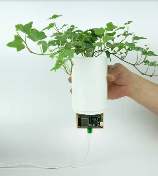That’s a smart plant. Image Credit: Creo