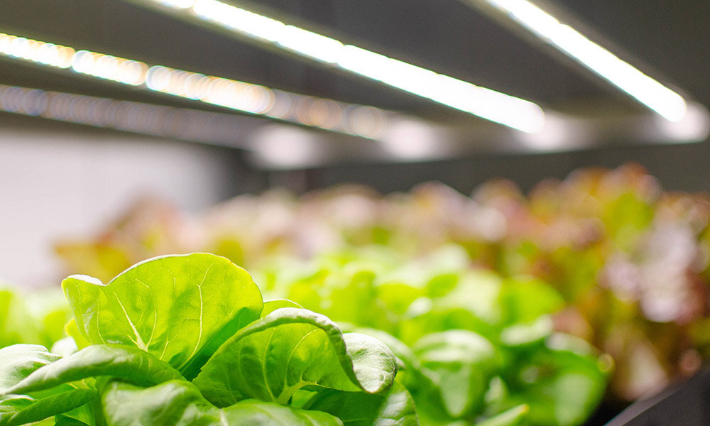 Vert-Farming-Header.jpeg