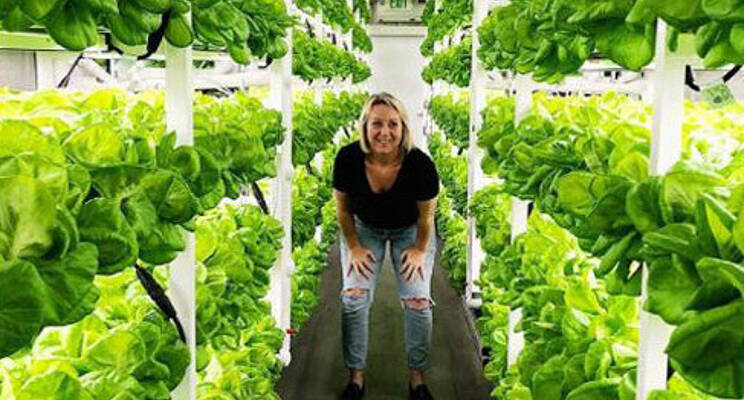 csm_Three_ways_to_maximize_a_vertical_farm_s_potential3_36b8dc777e.jpeg