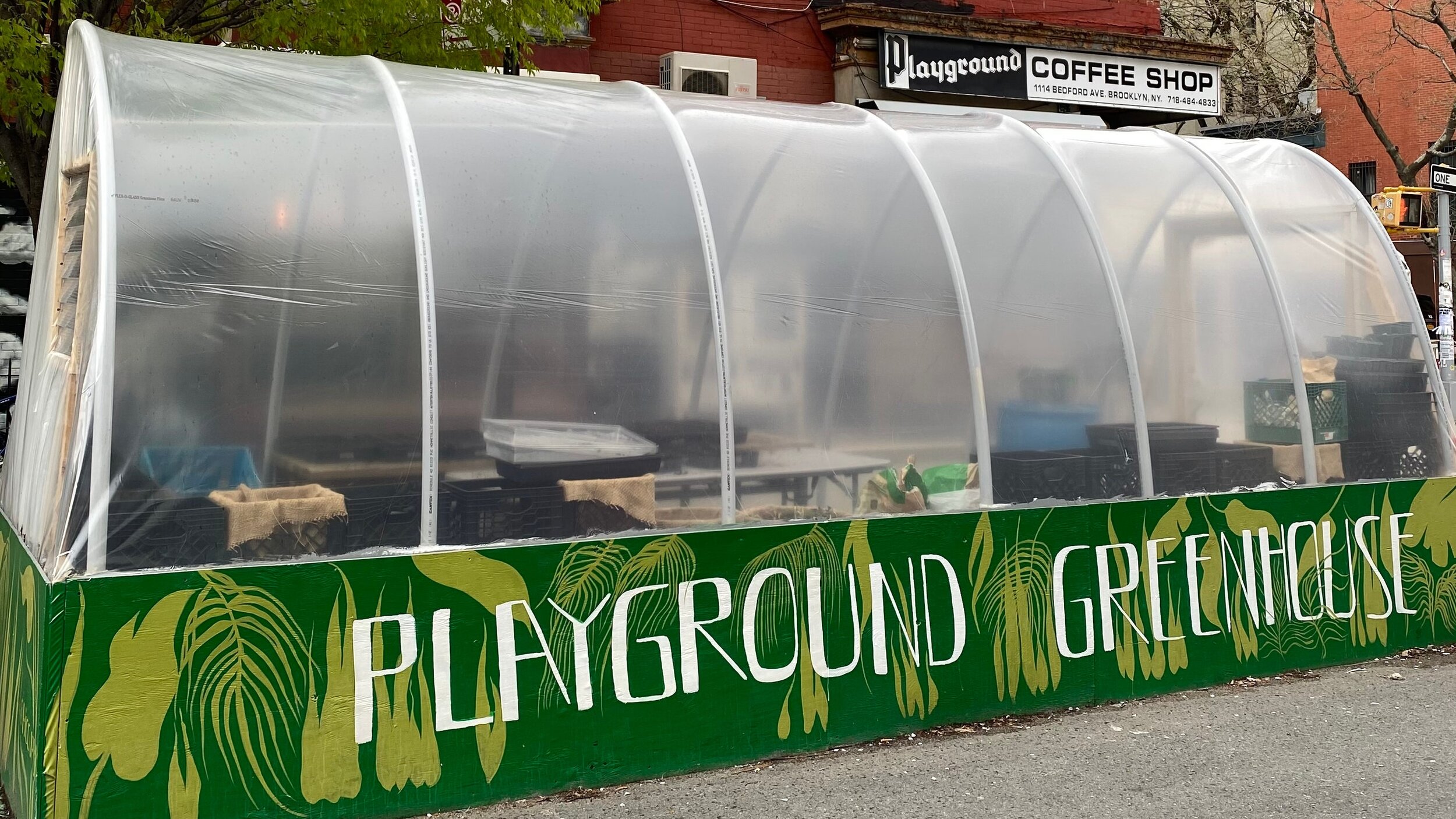 USA: Zenat Begum Turned A Bustling Brooklyn Street Corner Into A Working Greenhouse