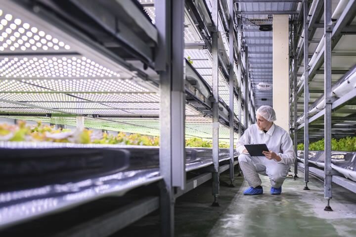 How Image Data Is Changing Agriculture
