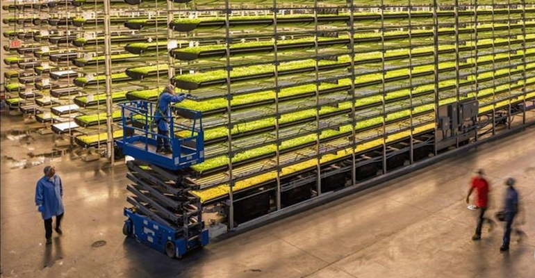 AeroFarms grows all of its leafy greens in New Jersey at one of its commercial indoor vertical farms.
