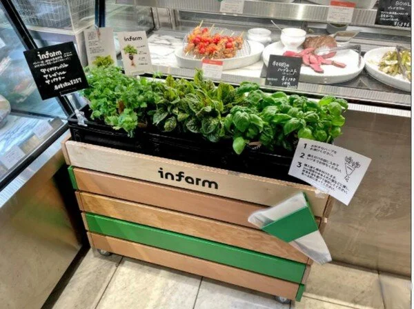 Vertically Produced Veggies Sold In Japanese Supermarket