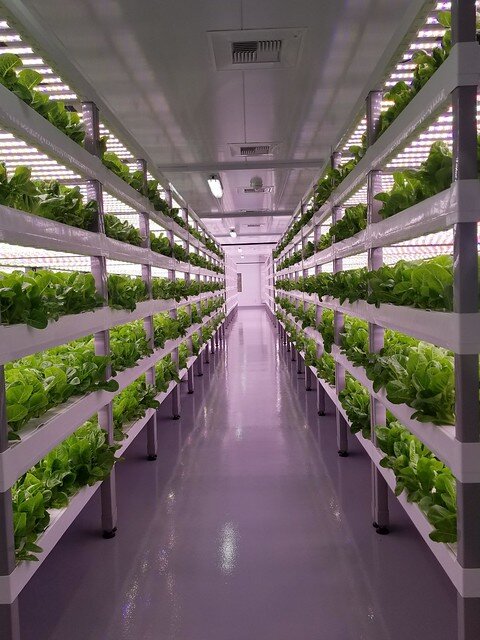 Vertical Farming For The Future