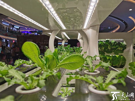 China Introduces Farm Display with Air Purifier