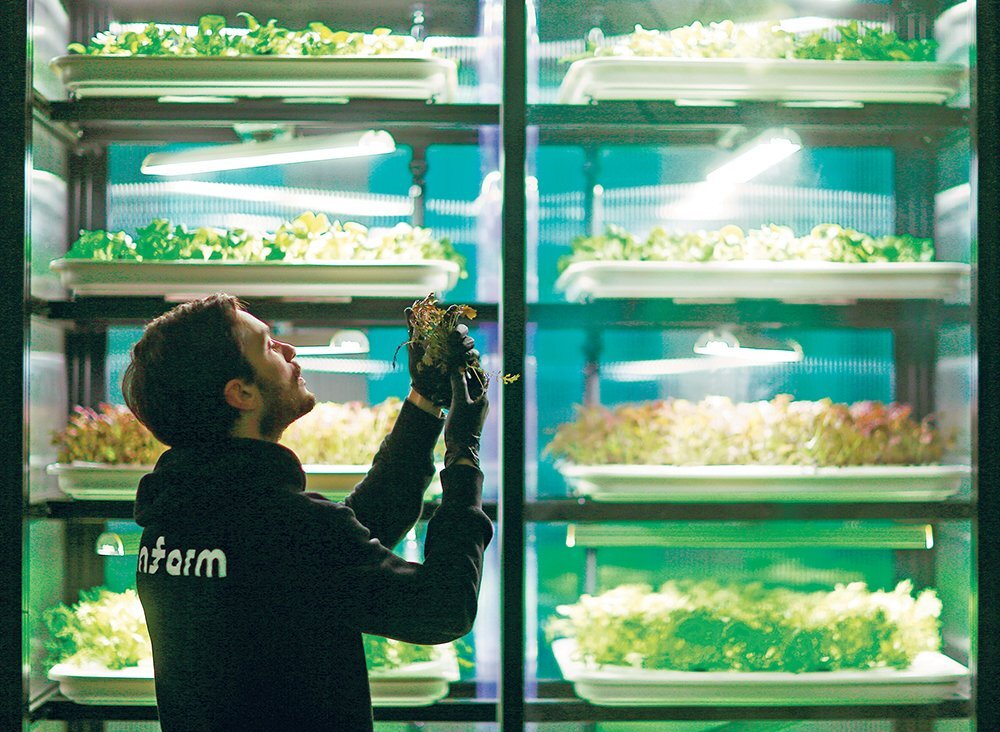 Farm Merges With Food Retail Spaces
