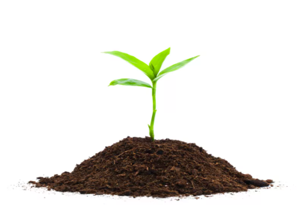AppHarvest: Management Estimates Vs. The Market