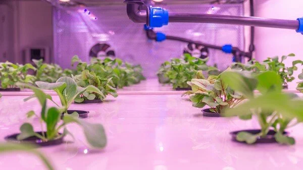 greentech.jpeg