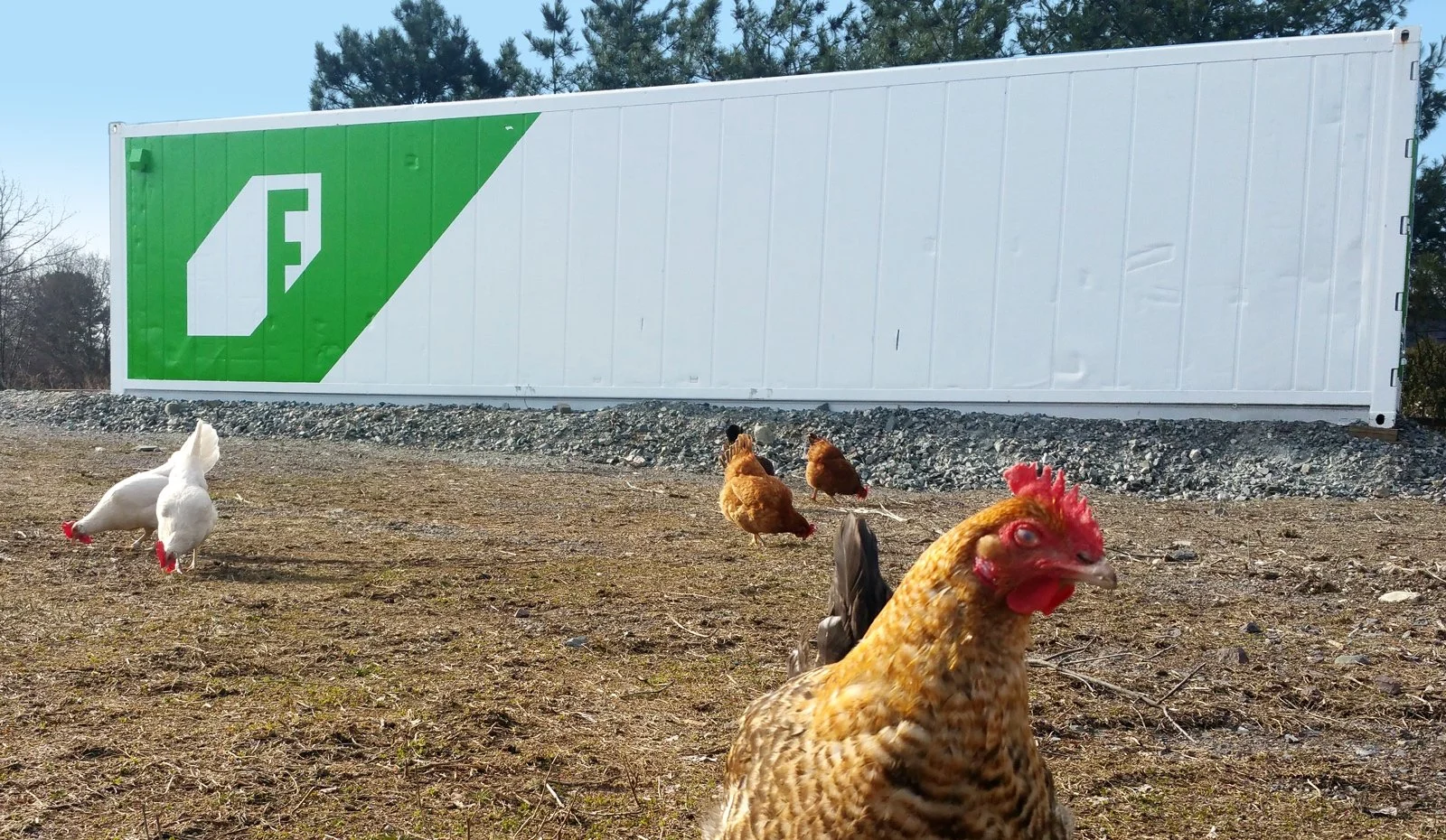 Buy Freight Farms Greenery S 11   2021 Freight Farms Greenery S