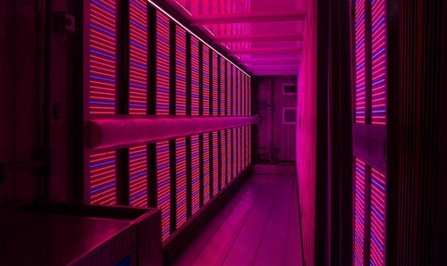 Freight-Farms-Hydroponic-Container-Farm-Interior-Lights.jpeg