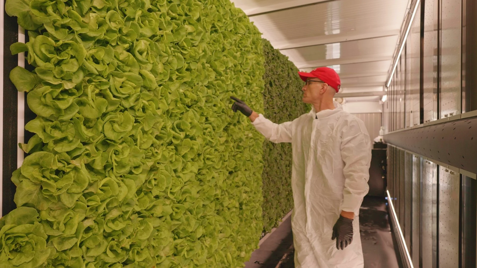 220815_Lettuce_Delivery_005.jpg