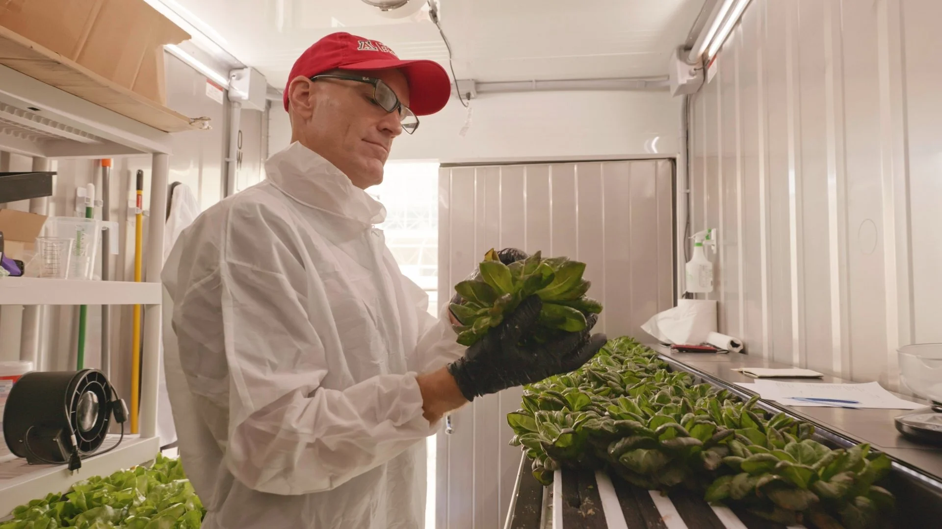 220815_Lettuce_Delivery_008.jpg