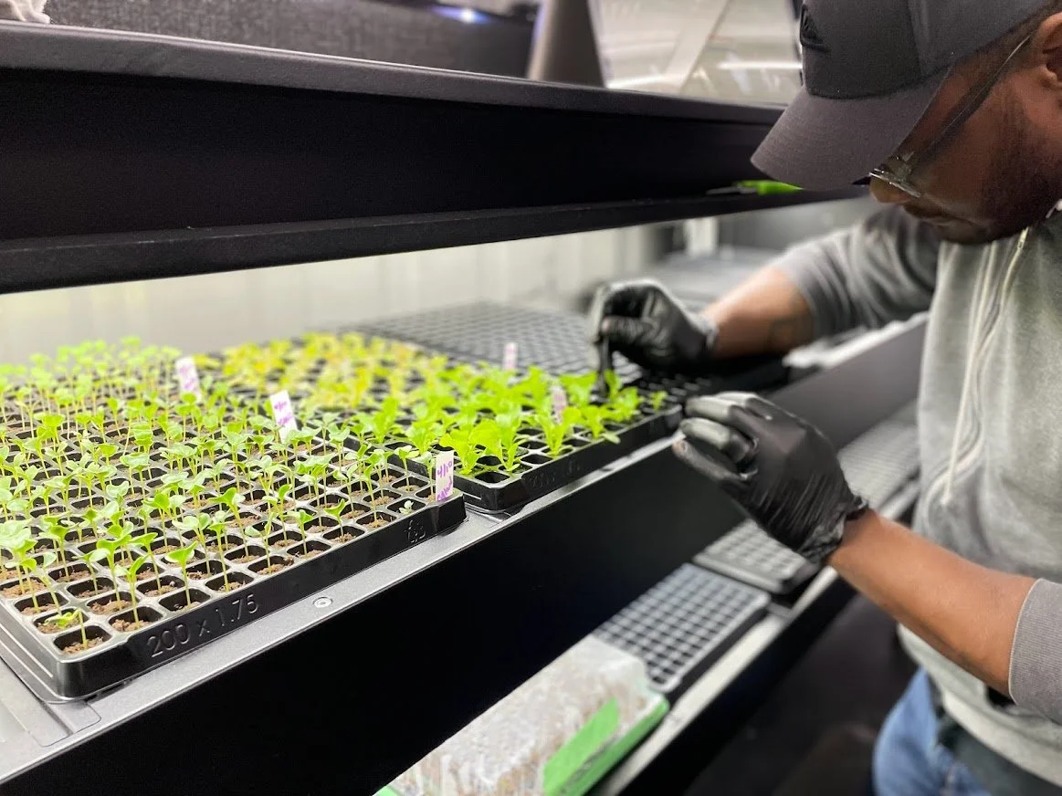 1663691013Derek transplanting.jpeg