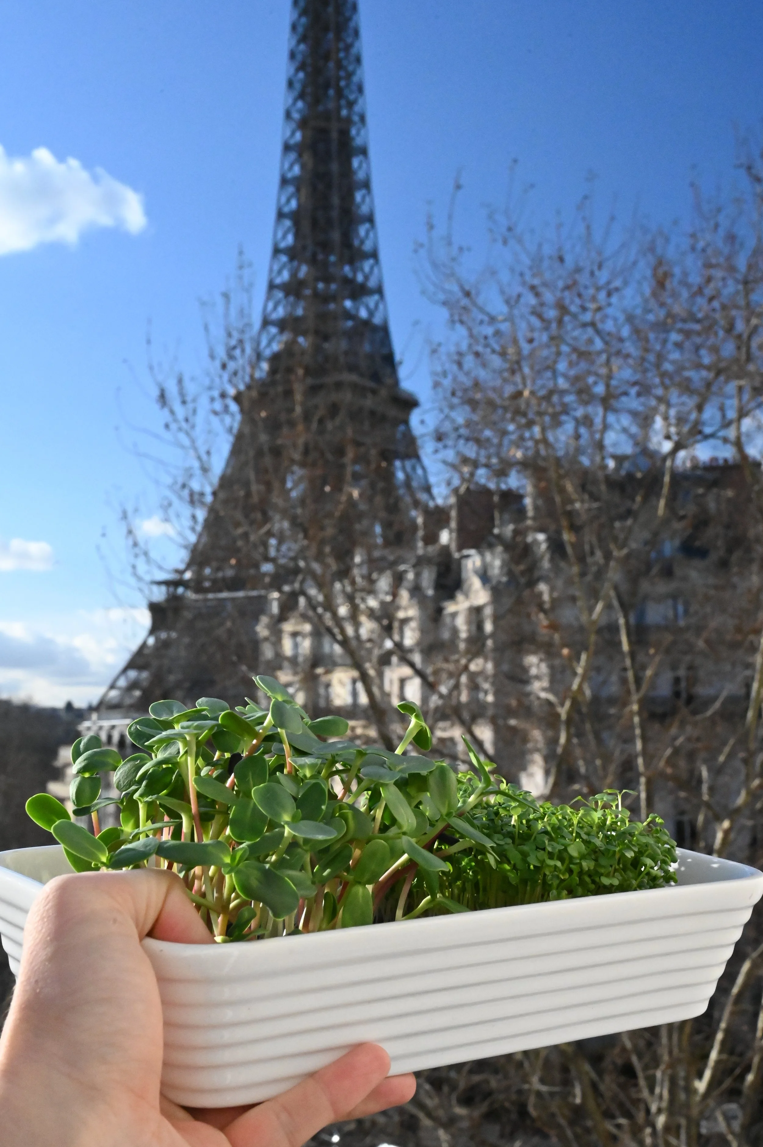 8D270B62-8192-43FF-A8AA-0F099B684D5B (1).jpeg