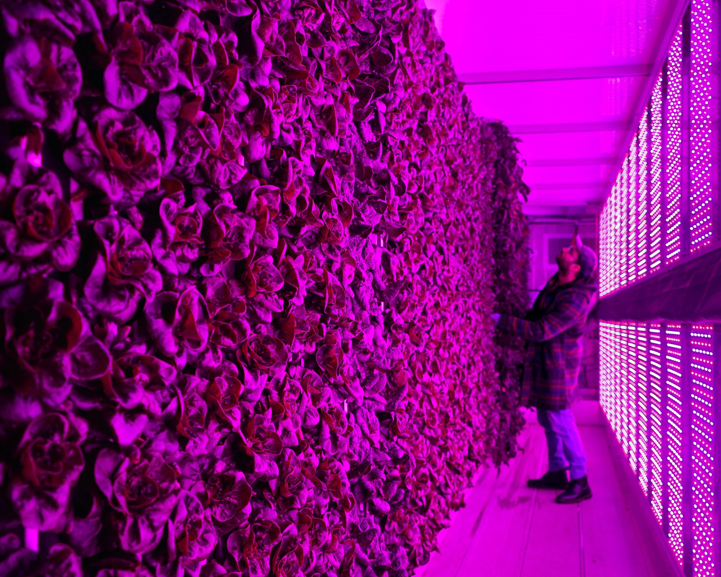 Top 7 Questions Boys &amp; Girls Clubs Have About Freight Farms