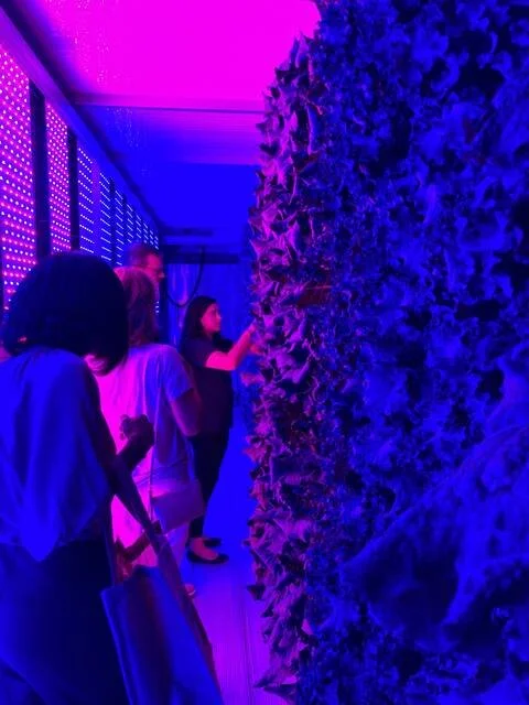 130794969_web1_hydroponics-event-2 (1).jpeg