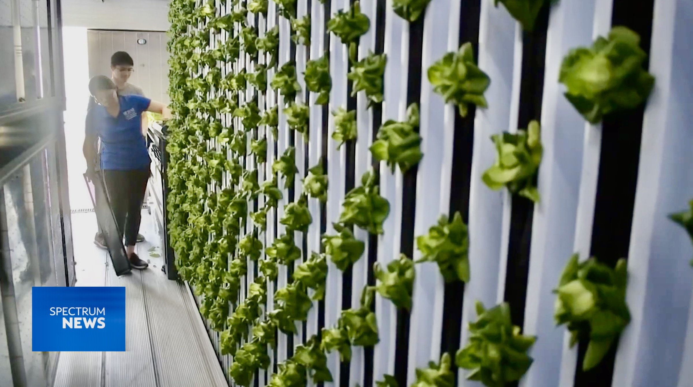 Shipping Container Farm In Citra Feeds Uni­versity of Florida Campus Community
