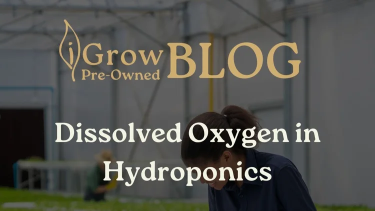 Dissolved Oxygen in Hydroponics