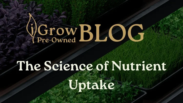The Science of Nutrient Uptake