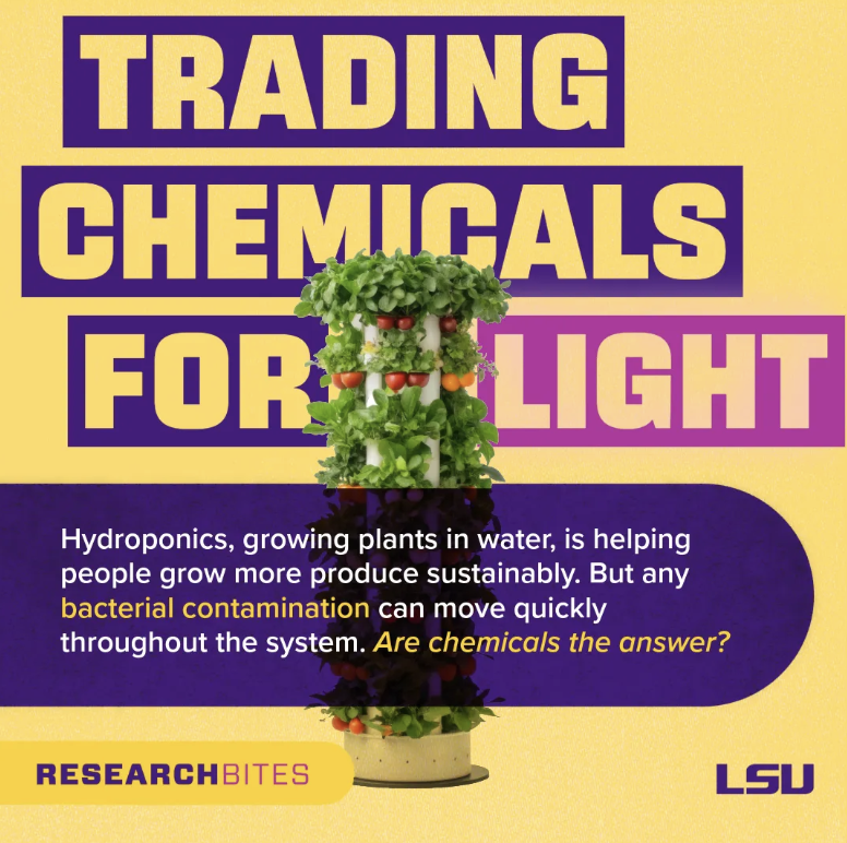 USA - LOUISIANA: LSU Research Bites: Smarter Hydroponic, Soil-Free Farm Methods Reduce Crop Contamination Risk