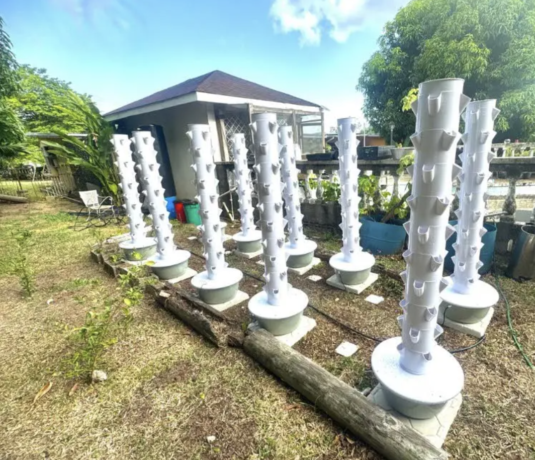 JAMAICA: Blueprint Farms Grows Demand After Hurricane Melissa