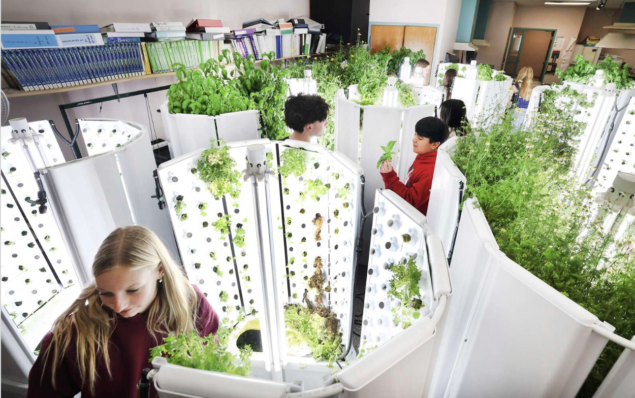 USA - COLORADO: Escalante Middle School Students Learn Value of Agriculture in Greenhouse Class