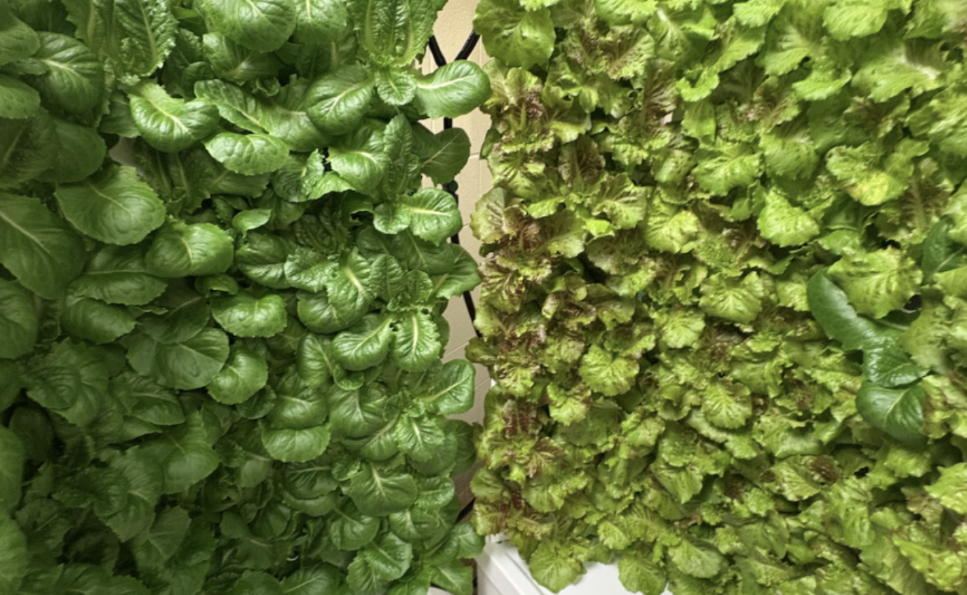 Screenshot 2025-12-12 at 8.09.42 PM.png