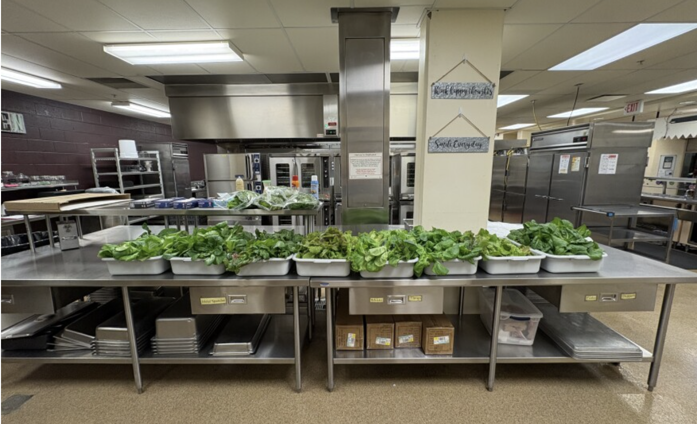 Screenshot 2025-12-12 at 8.08.58 PM.png