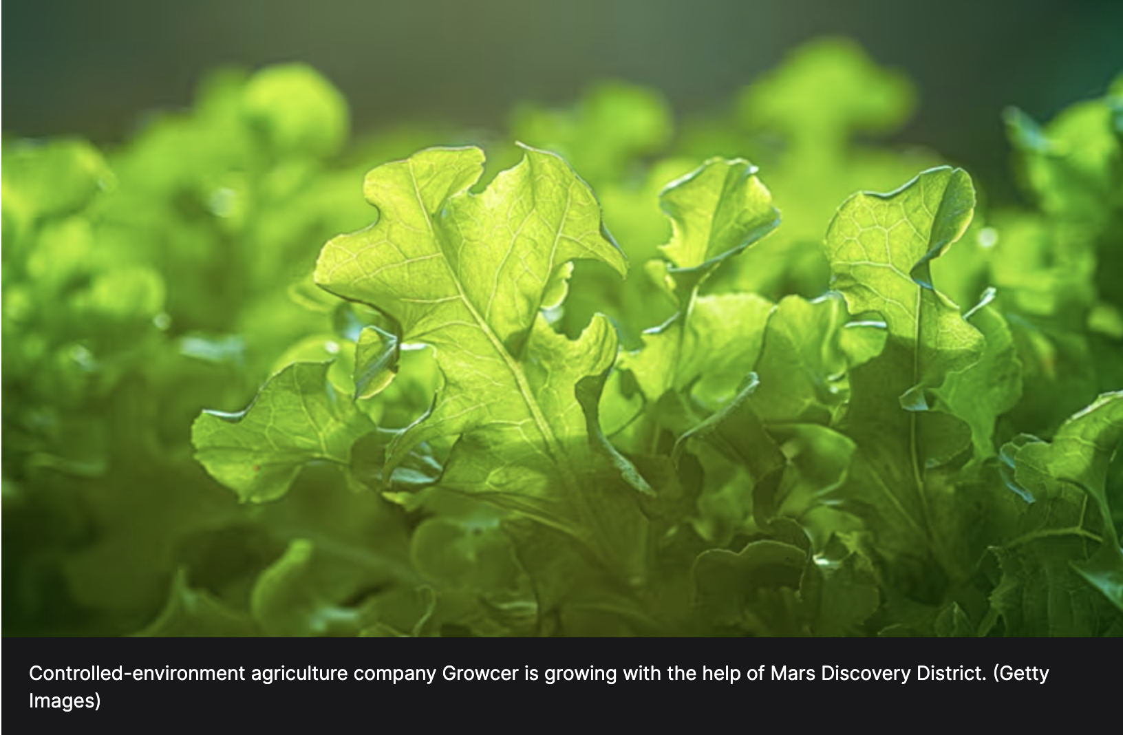 ‘Unit Economics Do Not Work Everywhere,’ Growcer CEO on Making Indoor Ag Profitable