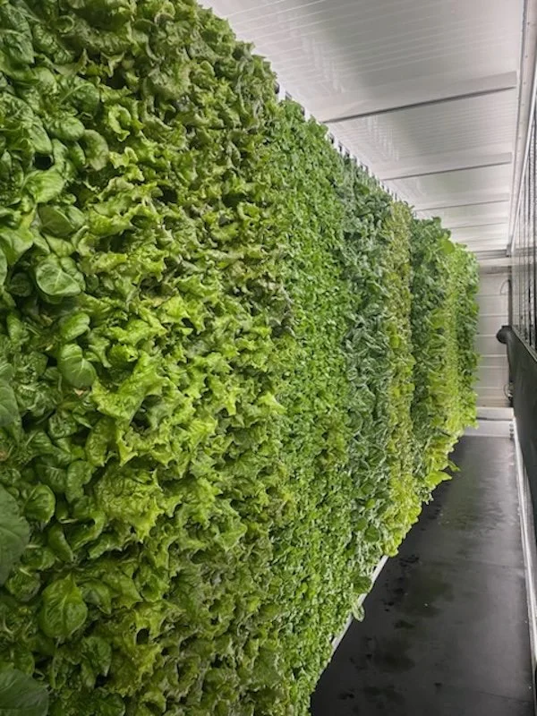 USA - MASSACHUSETTS: Watertown Public Schools Awarded State Grant to Support Farm-to-School Program