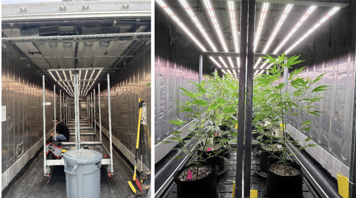 Development of a Controlled-Environment Plant Growth Chamber Using a Shipping Container for Industrial Hemp (Cannabis sativa L.) Cultivation