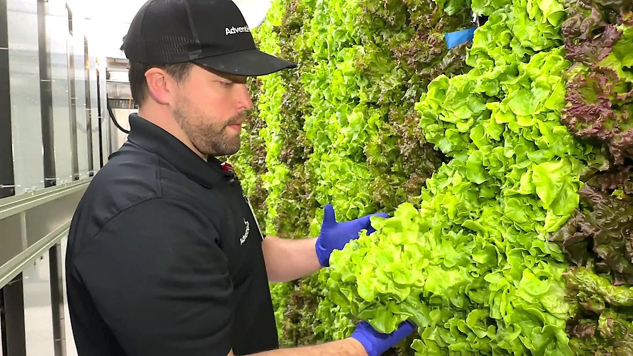 From Hotels To Parking Lots: Central Florida Companies Grow Their Own Food On-Site