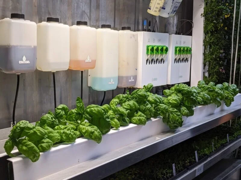 USA - MICHIGAN: MSU Research Targets Profitability and Growth in Controlled Environment Agriculture