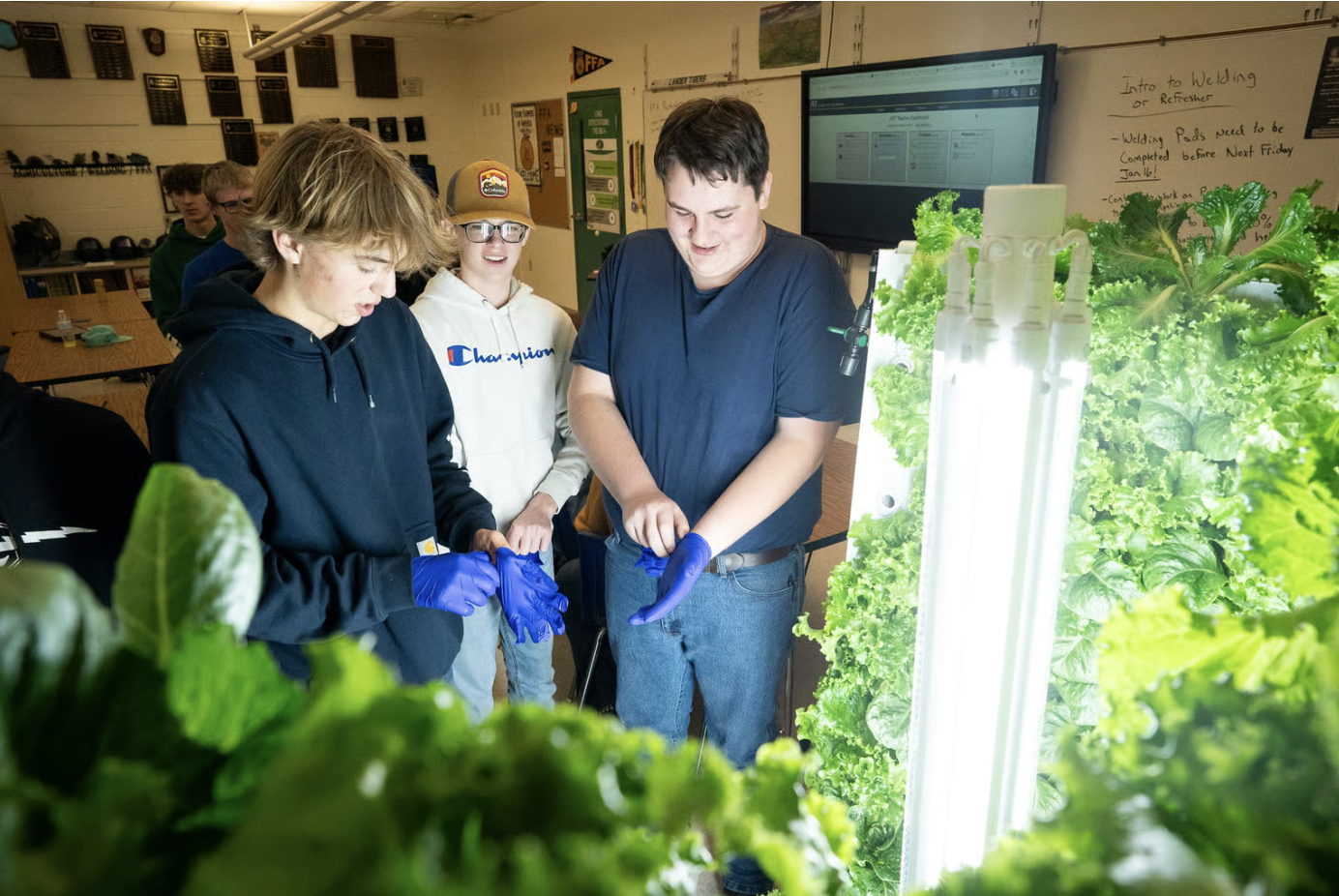 USA - WYOMING - Lettuce to Lunch Line at Lander Valley High