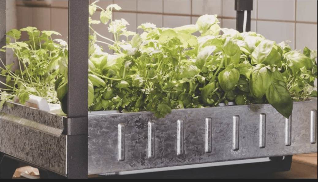 USA - NORTH DAKOTA: 55 Schools to Receive Grants For Hydroponic Farms