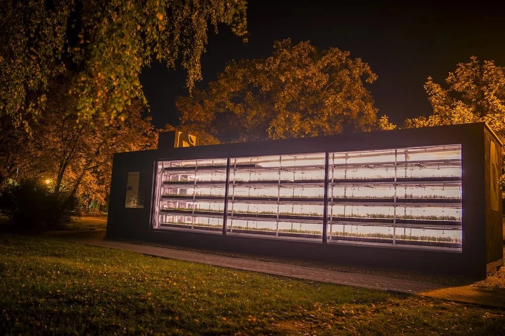 An Automated Vertical Growing Container For Tree Seedlings Developed in Latvia