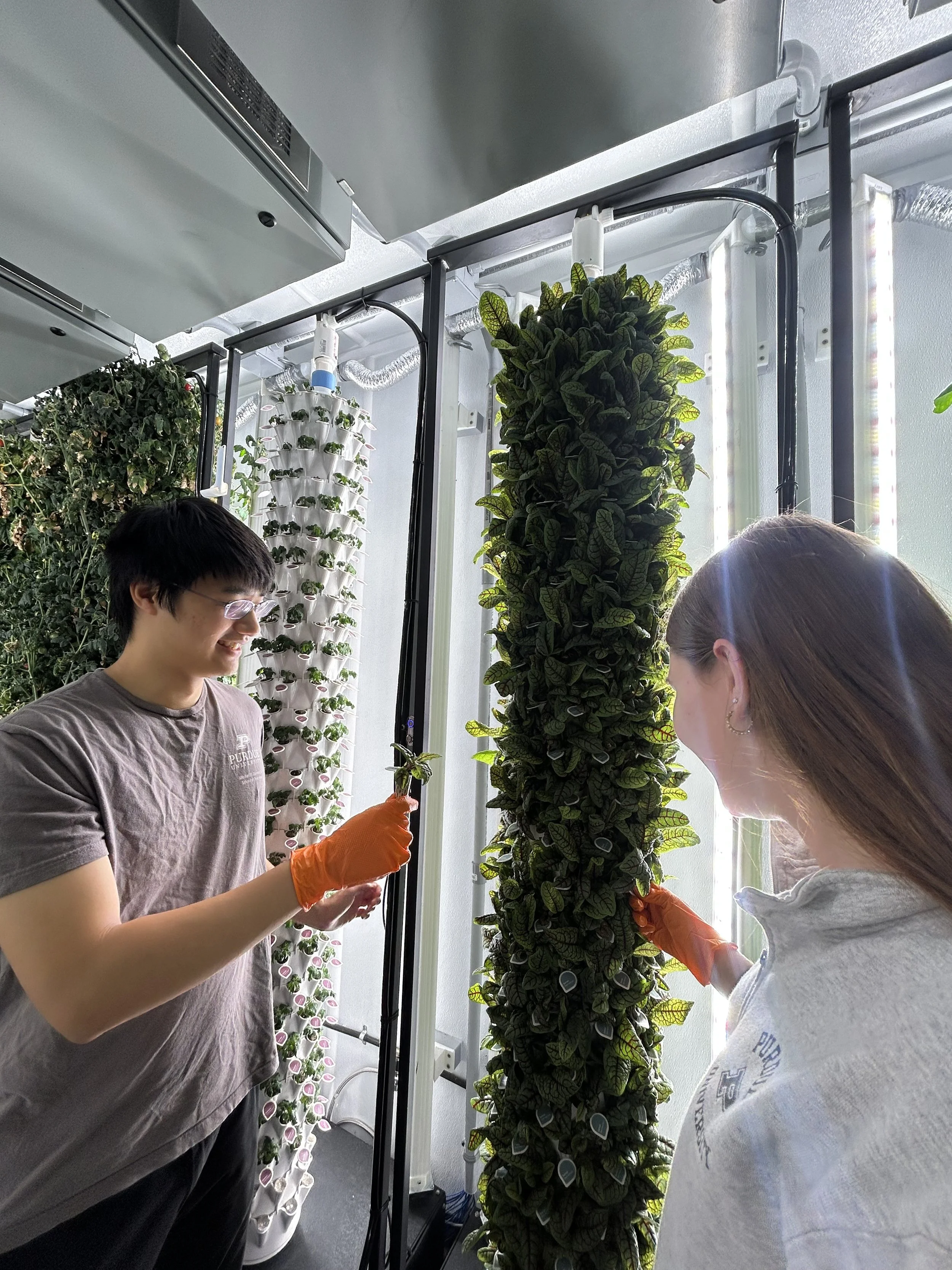 Greens Grow in Circles - NASA Funded Research Inspires Home Indoor Farming Tech