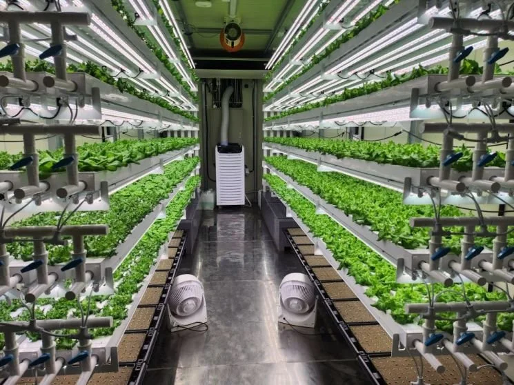South Korea - Goyang City Introduces Nation’s First Vertical Smart Farm on Farmland... A Groundbreaking Step for Future Agriculture