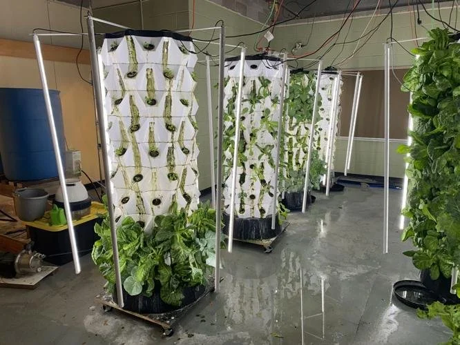 USA - WYOMING: From Schoolhouse to Greenhouse: Urban Farm Takes Root in North Casper