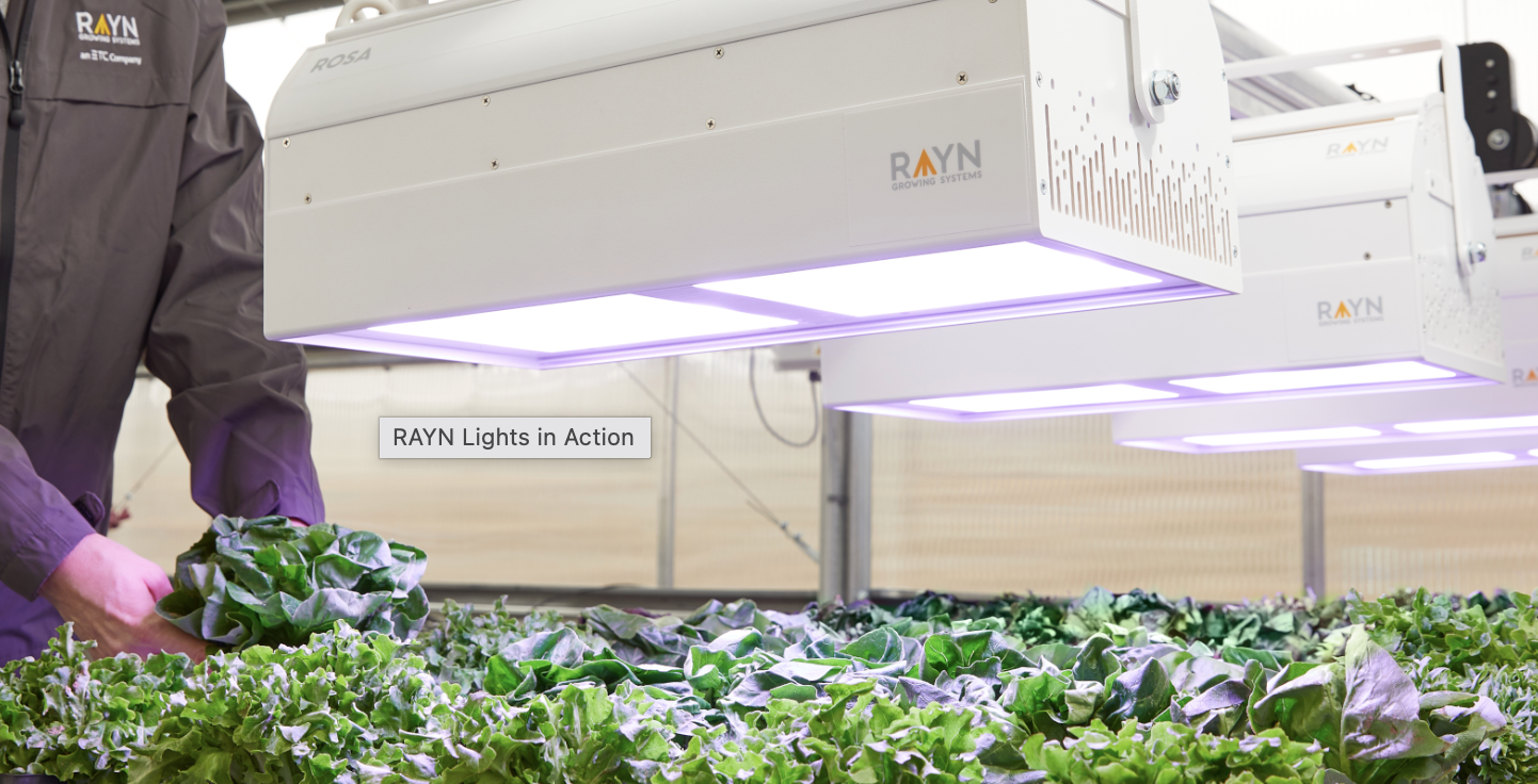 Wisconsin Teacher to Win $5,000 EdRack Hydroponic System