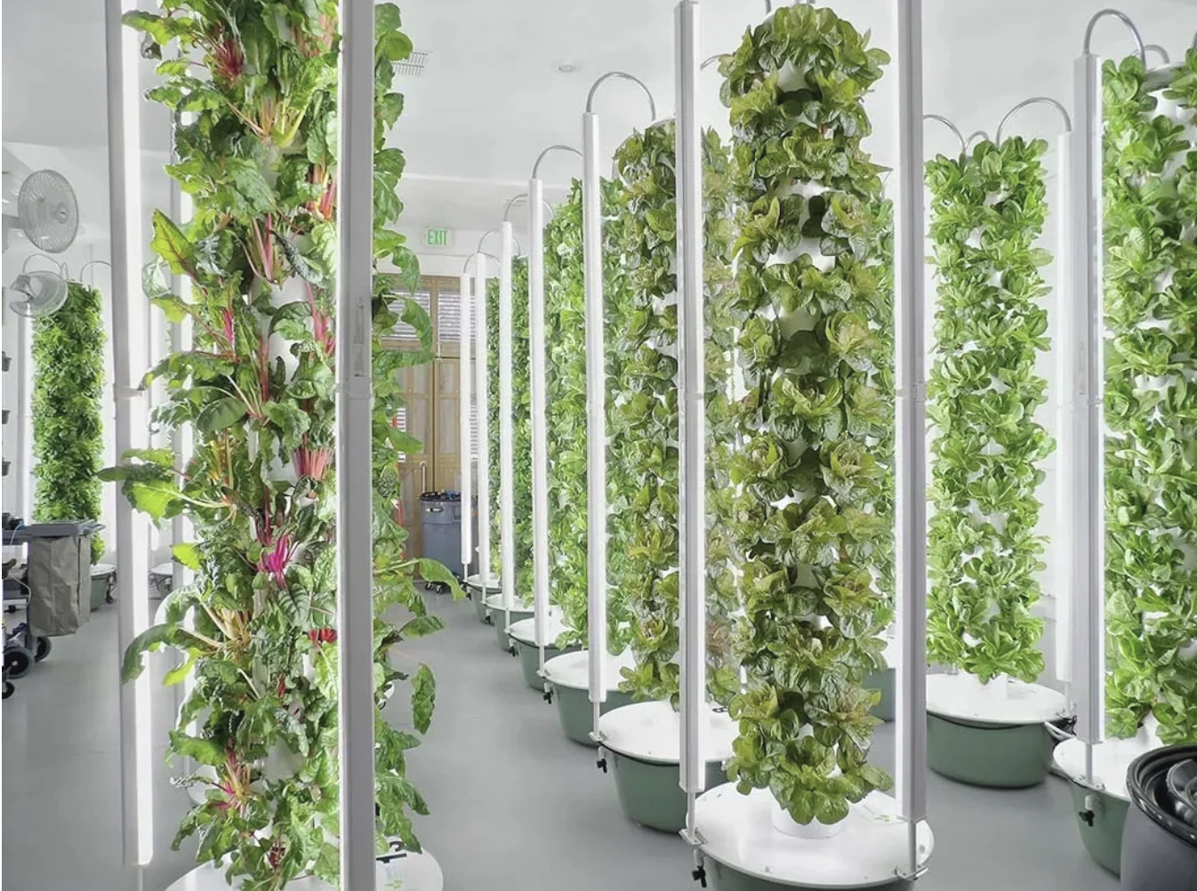 USA - INDIANA: Live Well Kosciusko Expands Garden Initiative To 6 Locations