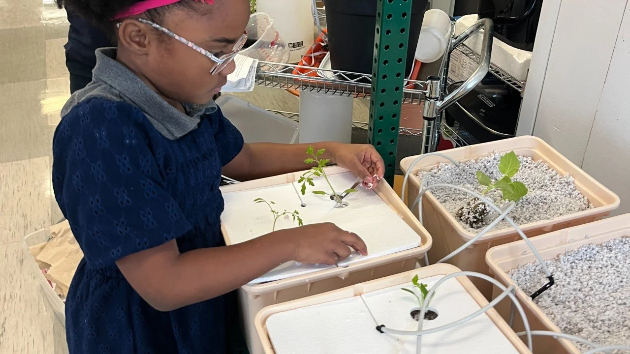 Why Student Gardeners Have The Potential to Shift The food Market - And Why Industry Partners Should Get Involved Now