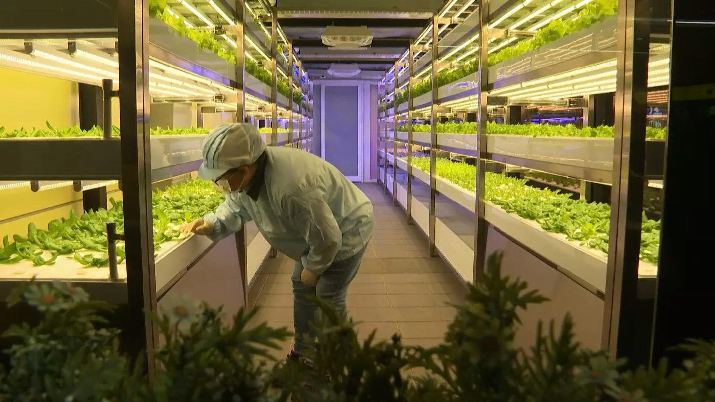 Vertical Farming Market Set To Quadruple By 2032