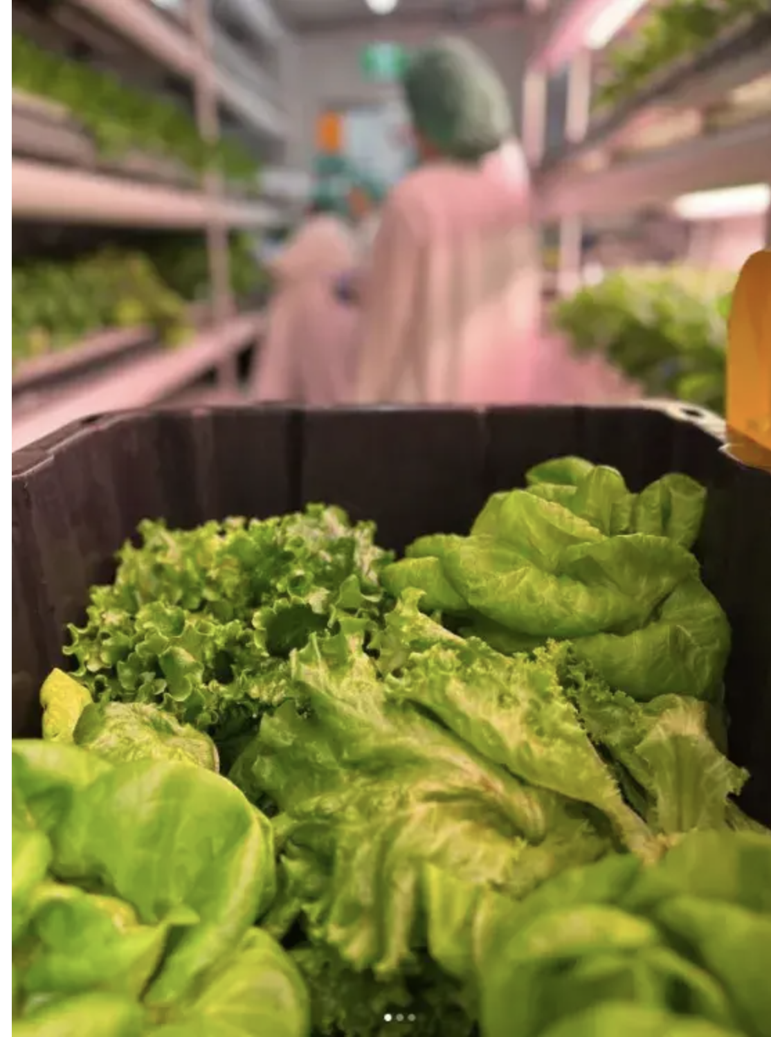 Screenshot 2026-03-03 at 1.23.48 PM.png