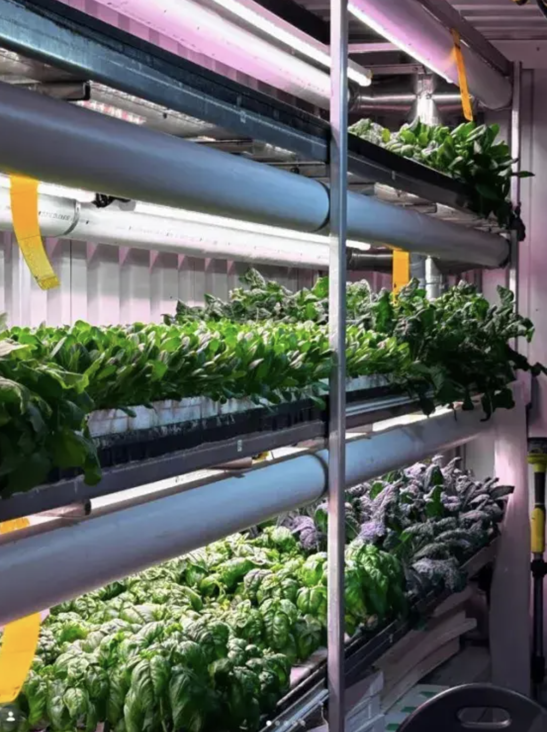 BRITISH COLUMBIA: Huu-ay-aht Looks to Grow Fresh Produce in Anacla Through Vertical System