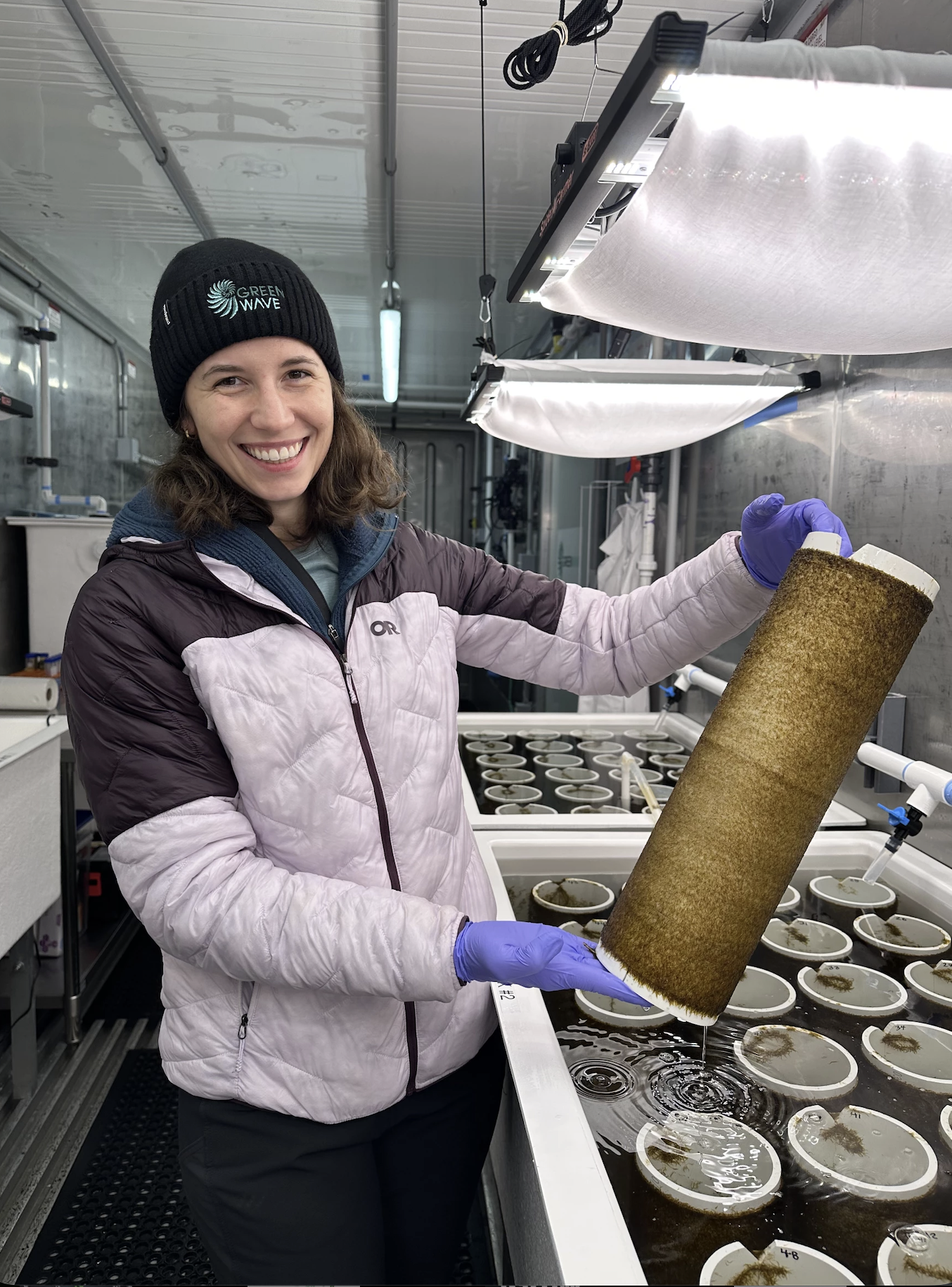 ALASKA: Greenwave Opens Kelp Nursery in Kodiak To Reduce Cost For Farmers and Increase Production