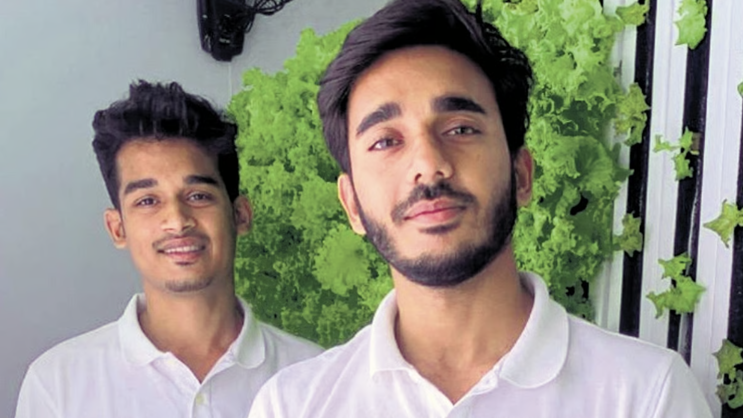 INDIA: Turning a New Leaf