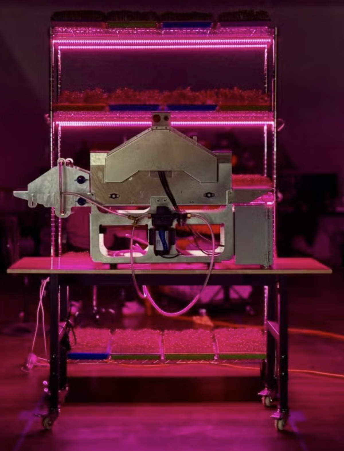 COLORADO: CU Alum Takes An Affordable Approach to Indoor Farming