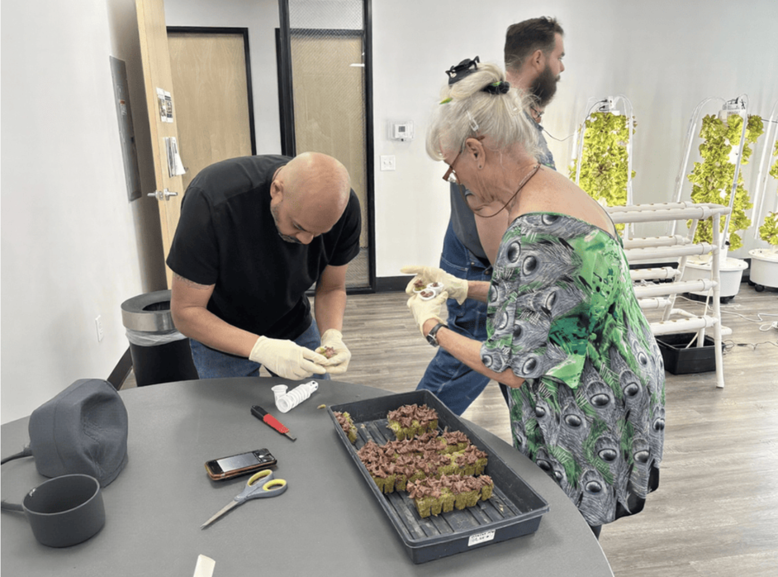 USA: Extension Offers Hands-On Training in Soil-free vegetable farming in Southern Nevada